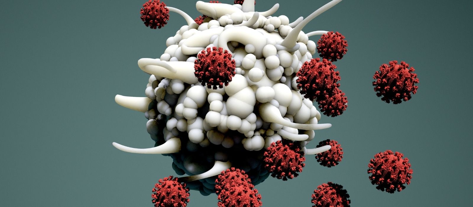 Hedefe Yönelik Tedavi Hedefe Yönelik Tedavi