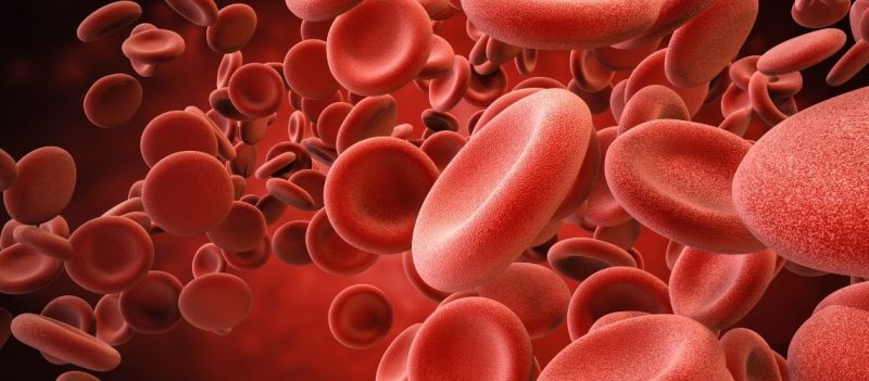 WBC Nedir? WBC Yüksekliği ve Düşüklüğü Neden Olur?