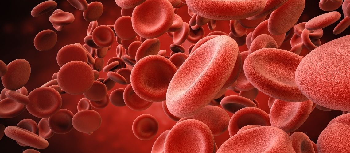 WBC Nedir? WBC Yüksekliği ve Düşüklüğü Neden Olur? WBC Nedir? WBC Yüksekliği ve Düşüklüğü Neden Olur?