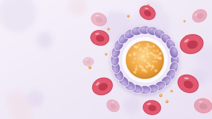 Ferritin molekülü içinde depolanan demir ve çevresinde alyuvarlar (temsili çizim)